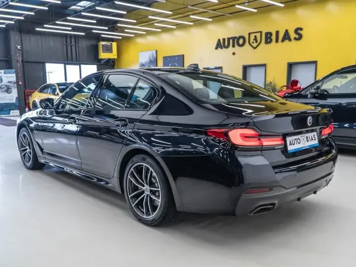 BMW Seria 5 G30/G31 520e AT PHEV