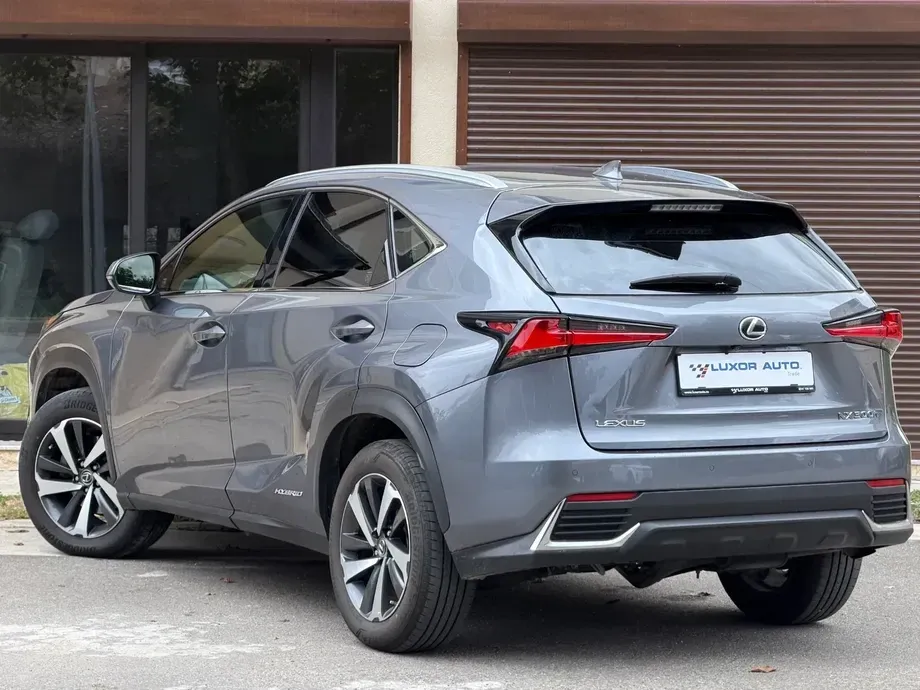 Lexus NX I 300h E-FOUR Luxury Line — imagine 6