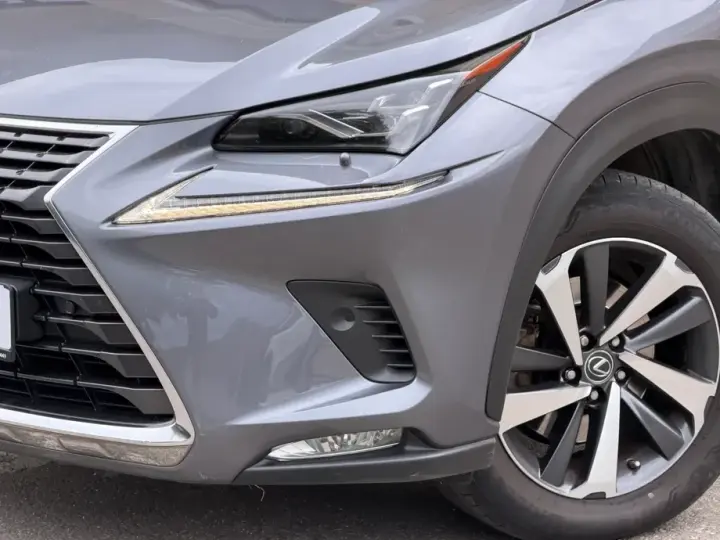 Lexus NX I 300h E-FOUR Luxury Line