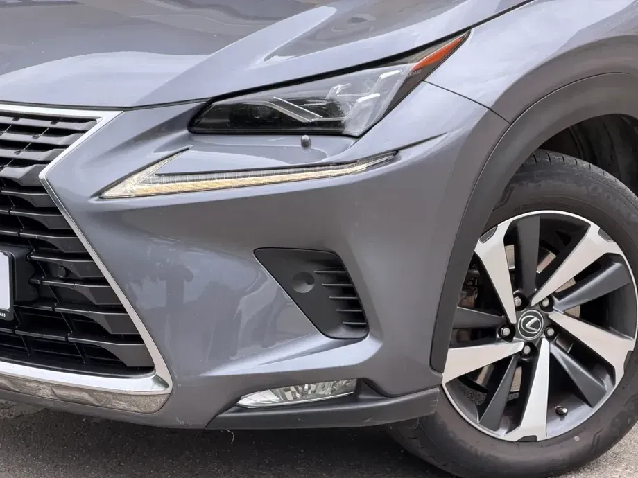 Lexus NX I 300h E-FOUR Luxury Line — imagine 3