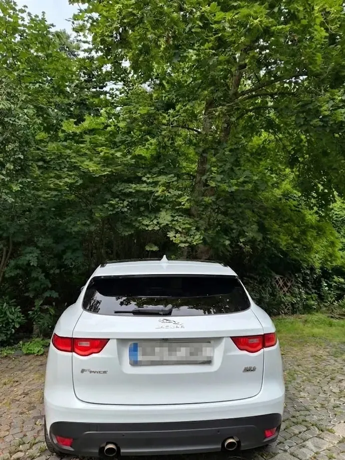 Jaguar F-Pace 25t AWD R-Sport — imagine 3