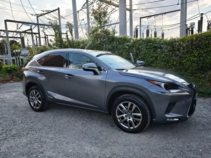 Lexus NX I 300h AWD Executive Plus
