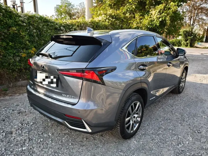 Lexus NX I 300h AWD Executive Plus