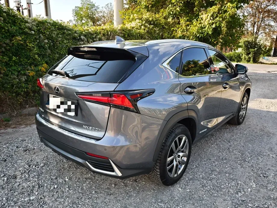 Lexus NX I 300h AWD Executive Plus — imagine 6