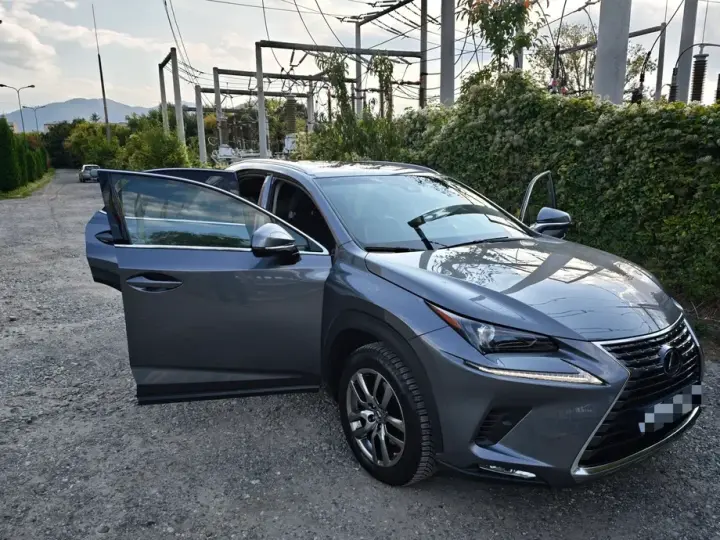 Lexus NX I 300h AWD Executive Plus