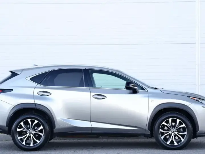 Lexus NX I 300h E-FOUR F SPORT