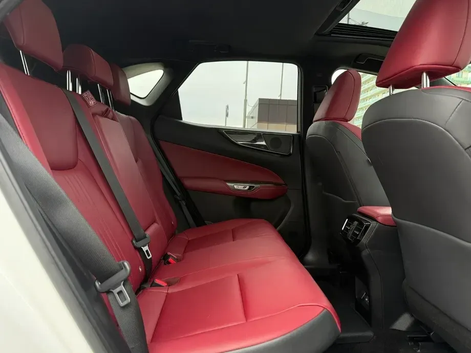 Lexus NX II 450h+ E-FOUR Luxury-Paket — imagine 6