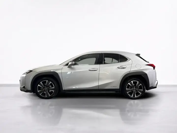 Lexus UX 250h
