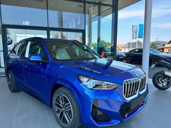 BMW X1 xDrive20d Aut. M Sportpaket