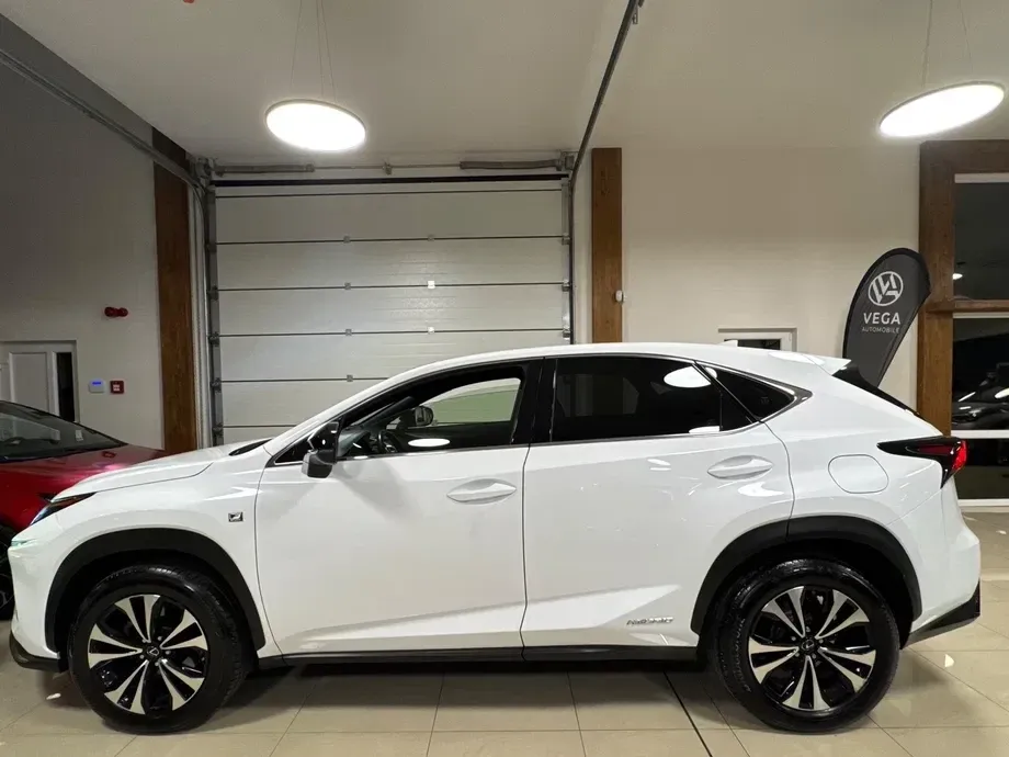 Lexus NX I 300h AWD F Sport — imagine 6