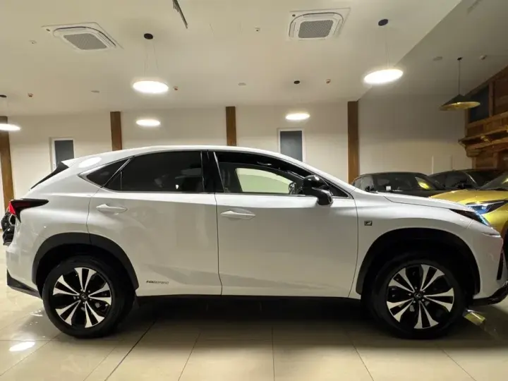 Lexus NX I 300h AWD F Sport