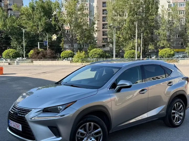 Lexus NX I 300h Business Line