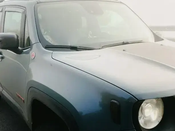 Jeep Renegade 2.0 M-Jet 4x4 Low AT9 Trailhawk