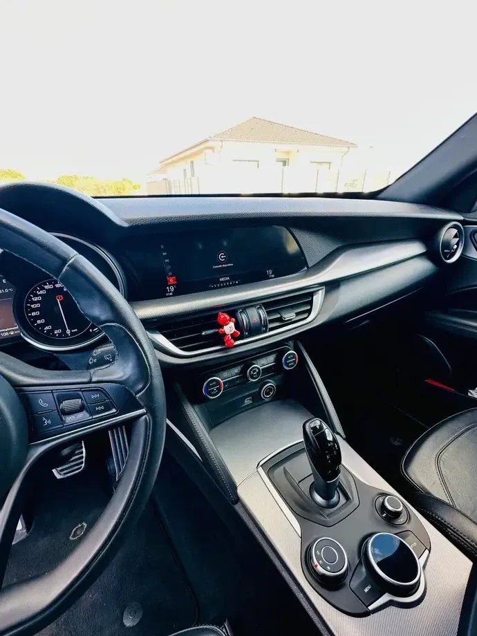 Alfa Romeo Stelvio 2.0 Turbo AWD AT8 Super — imagine 5