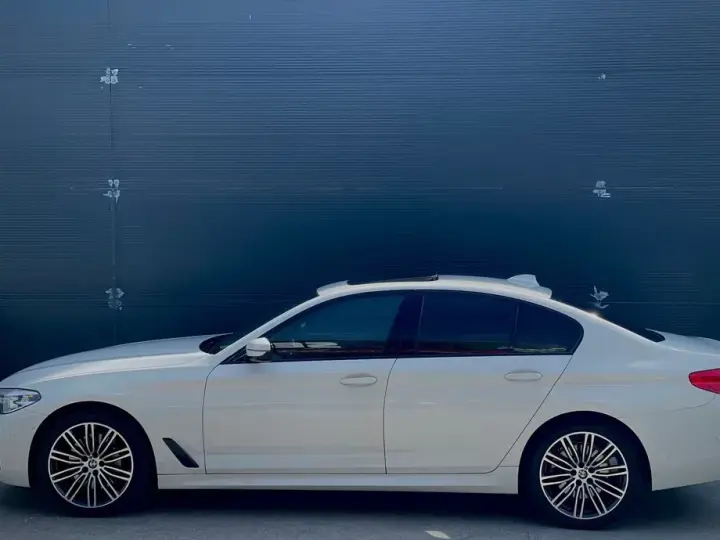 BMW Seria 5 G30/G31 [2017 - Prezent] 530i xDrive AT
