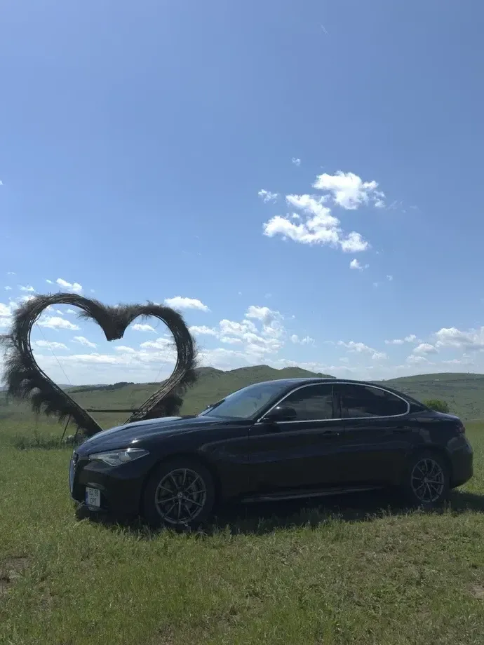 Alfa Romeo Giulia 2.0 Turbo AWD AT8 Veloce — imagine 2
