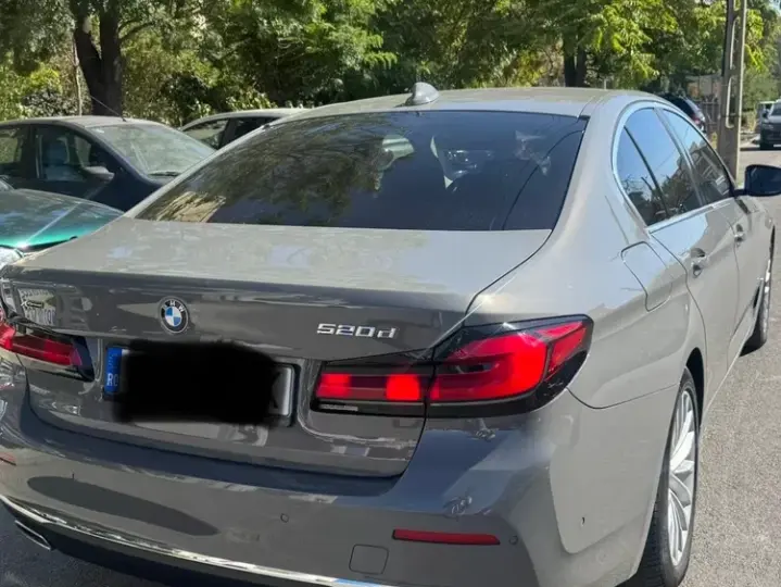 BMW Seria 5 G30/G31 [2017 - Prezent] 520d xDrive AT MHEV