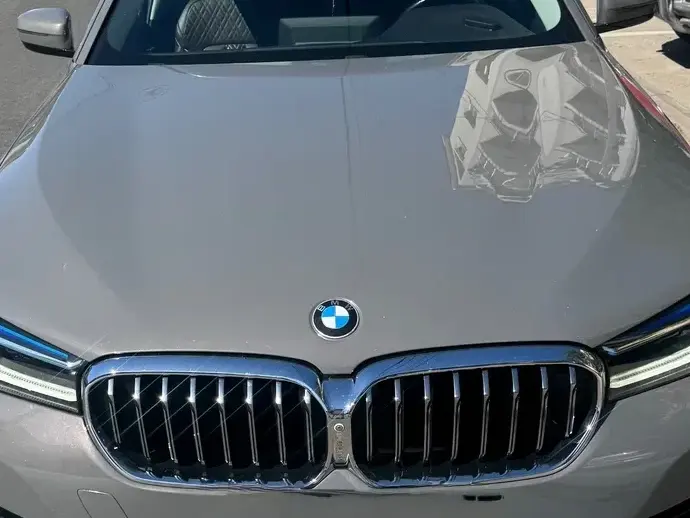 BMW Seria 5 G30/G31 [2017 - Prezent] 520d xDrive AT MHEV