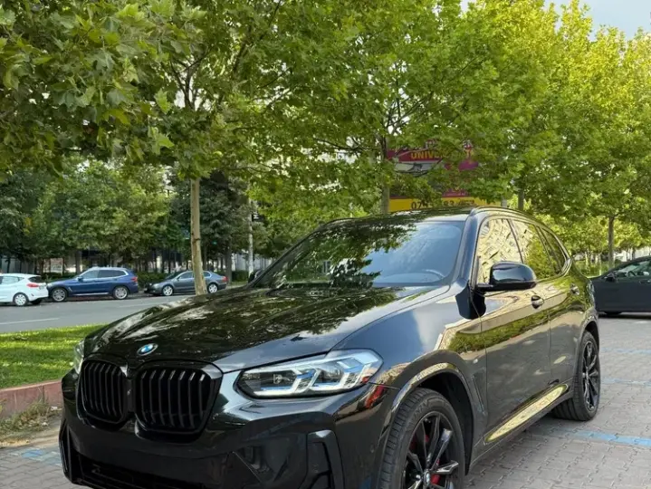BMW X3 G01 xDrive30d Aut. M Sport