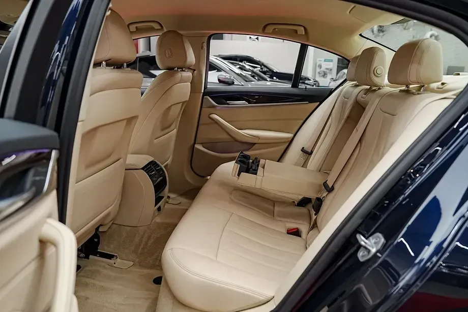 BMW Seria 5 G30/G31 520d Aut. — imagine 6