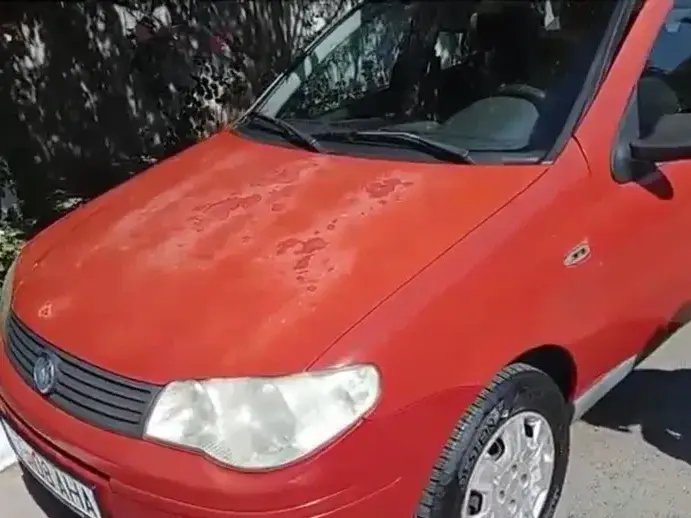 FIAT Albea