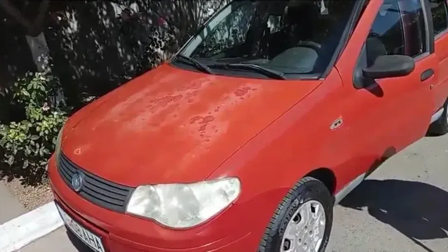 FIAT Albea — imagine 5