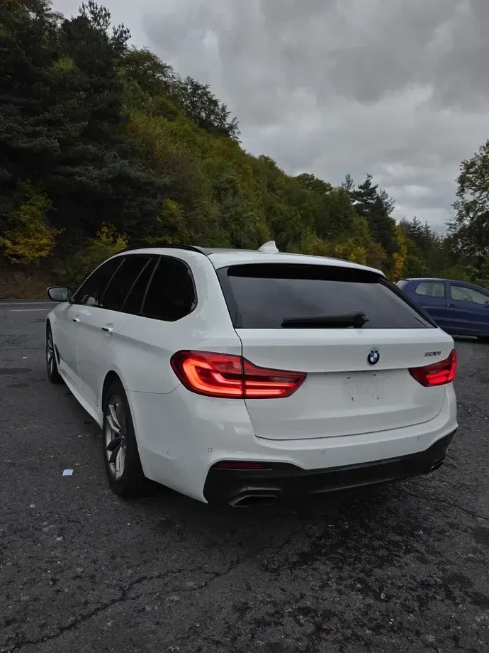 BMW Seria 5 G30/G31 530i AT — imagine 5