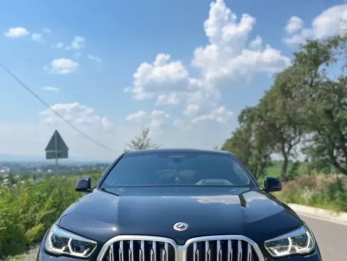 BMW X6 G06 xDrive30d