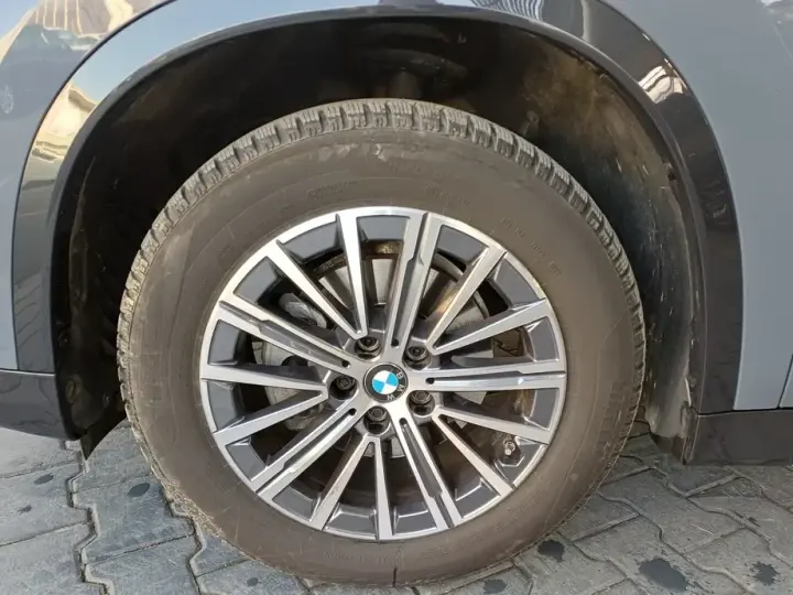 BMW X1 F48 xDrive20d AT MHEV