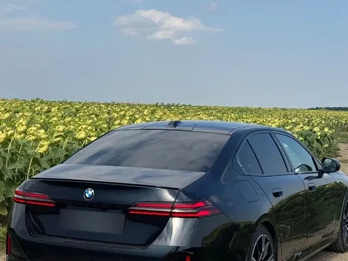 BMW Seria 5 G60/G61 520i AT MHEV