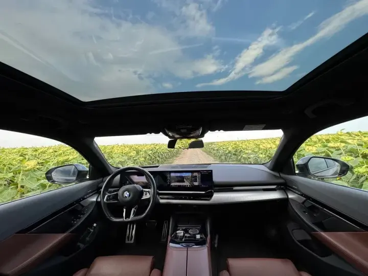 BMW Seria 5 G60/G61 520i AT MHEV