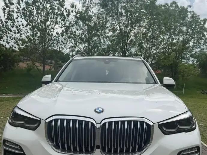 BMW X5 xDrive30d xLine