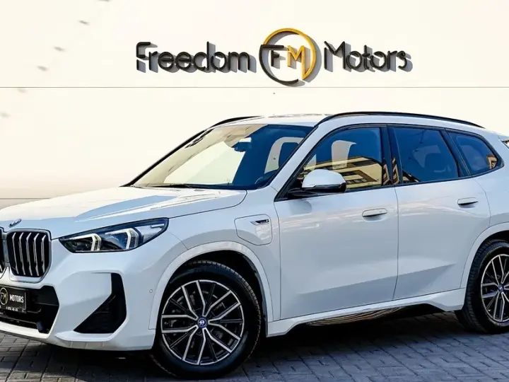 BMW X1 F48 xDrive25e Aut. M Sportpaket