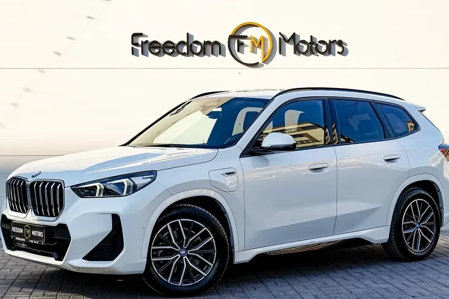 BMW X1 F48 xDrive25e Aut. M Sportpaket — imagine 2