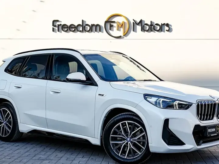 BMW X1 F48 xDrive25e Aut. M Sportpaket