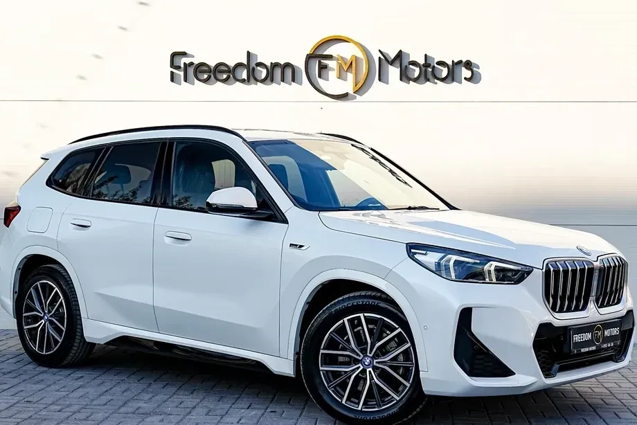 BMW X1 F48 xDrive25e Aut. M Sportpaket — imagine 6
