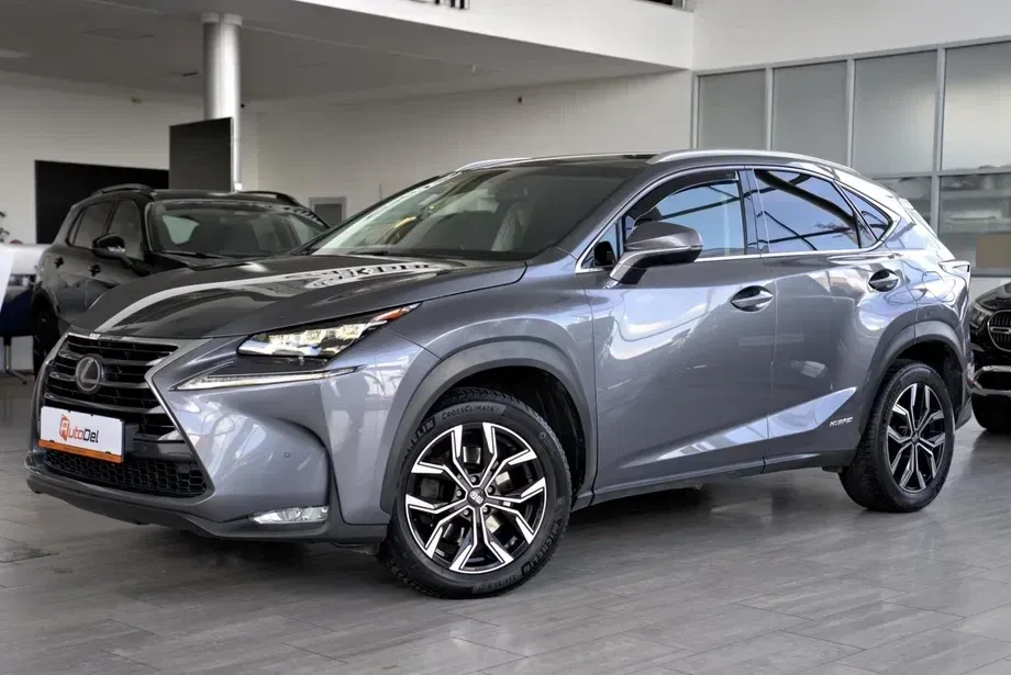Lexus NX I 300h E-FOUR Business Edition — imagine 3