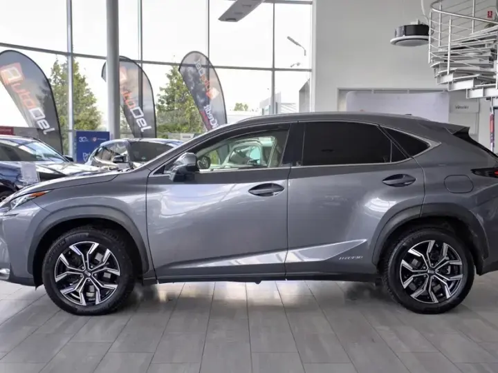 Lexus NX I 300h E-FOUR Business Edition