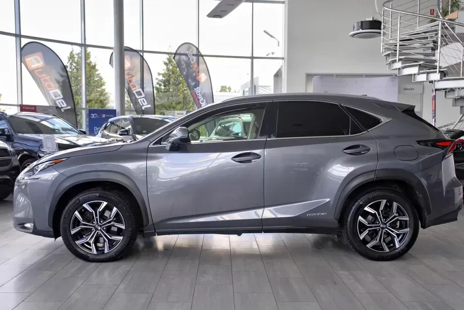 Lexus NX I 300h E-FOUR Business Edition — imagine 4