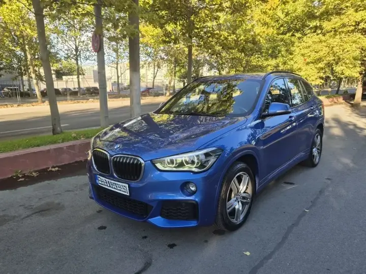 BMW X1 F48 xDrive20d Aut. M Sport