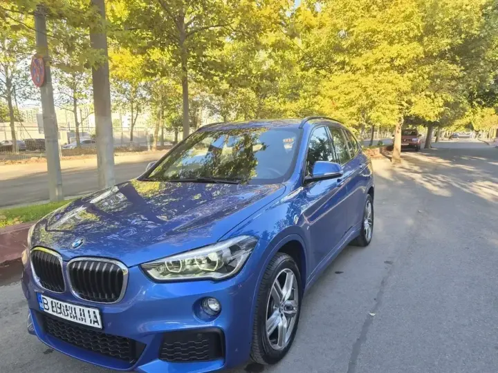 BMW X1 F48 xDrive20d Aut. M Sport
