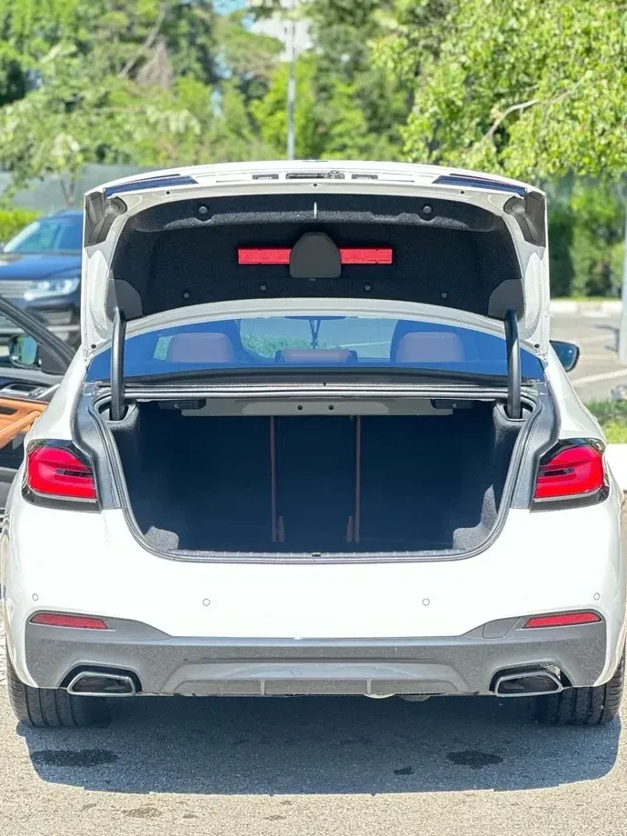 BMW Seria 5 G30/G31 520d xDrive Aut. M Sport Edition — imagine 2