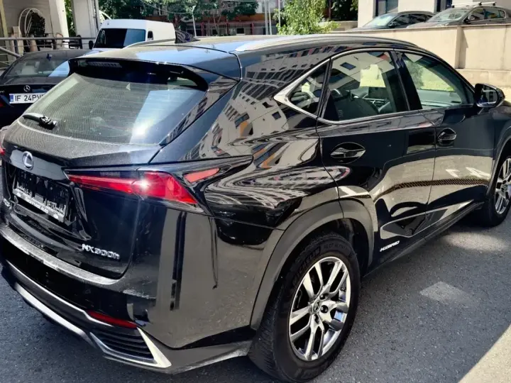 Lexus NX I 300h E-FOUR Business Edition
