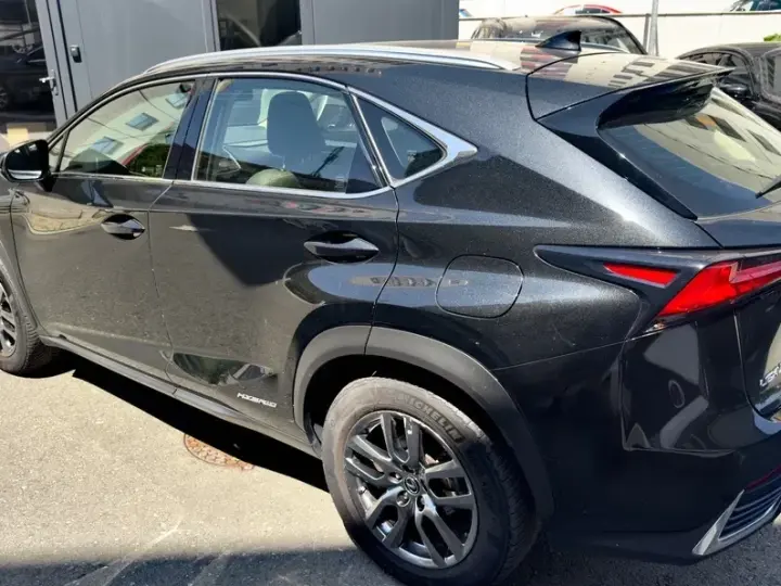 Lexus NX I 300h E-FOUR Business Edition