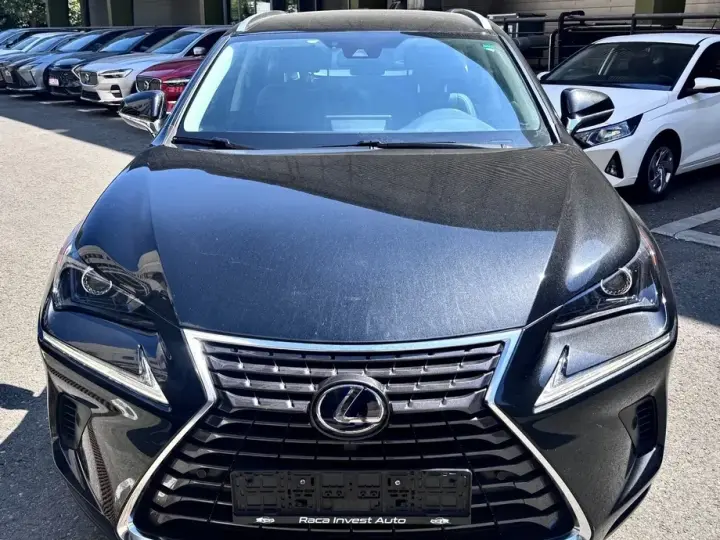 Lexus NX I 300h E-FOUR Business Edition