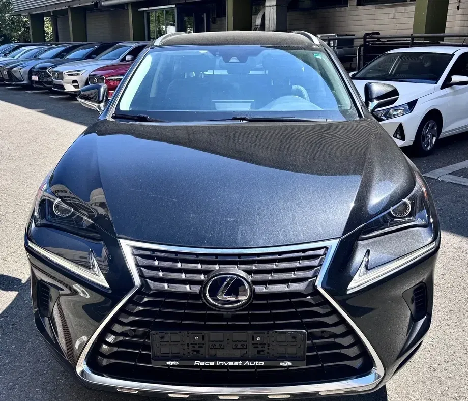 Lexus NX I 300h E-FOUR Business Edition — imagine 2