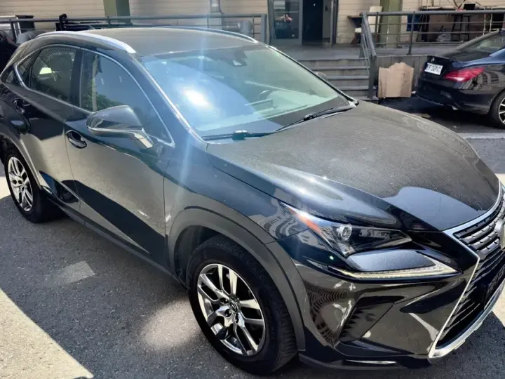 Lexus NX I 300h E-FOUR Business Edition