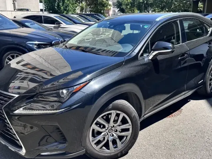 Lexus NX I 300h E-FOUR Business Edition