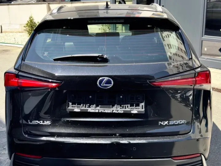 Lexus NX I 300h E-FOUR Business Edition