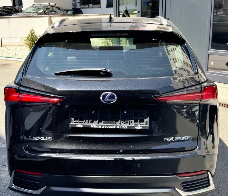 Lexus NX I 300h E-FOUR Business Edition — imagine 5